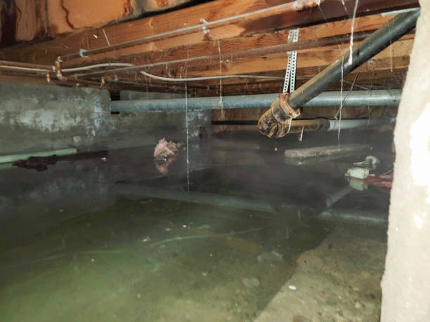 Best Ceiling water damage repair  in Ingleside, TX