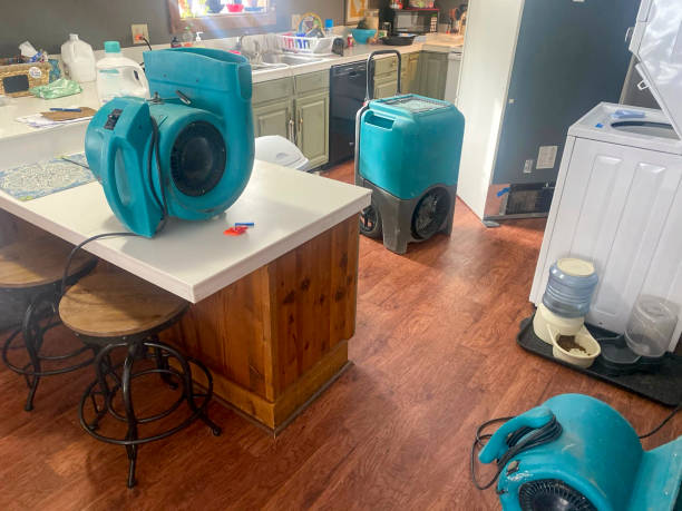 Best Water damage cleanup near me  in Ingleside, TX