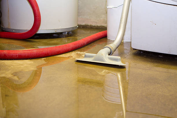 Best Commercial water damage restoration  in Ingleside, TX