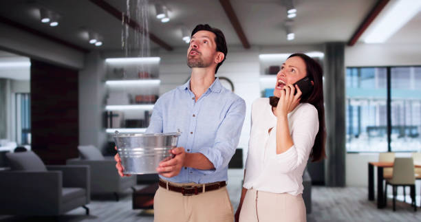 Best Ceiling water damage repair  in Ingleside, TX