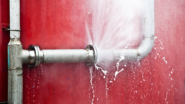 Best Local water damage restoration  in Ingleside, TX
